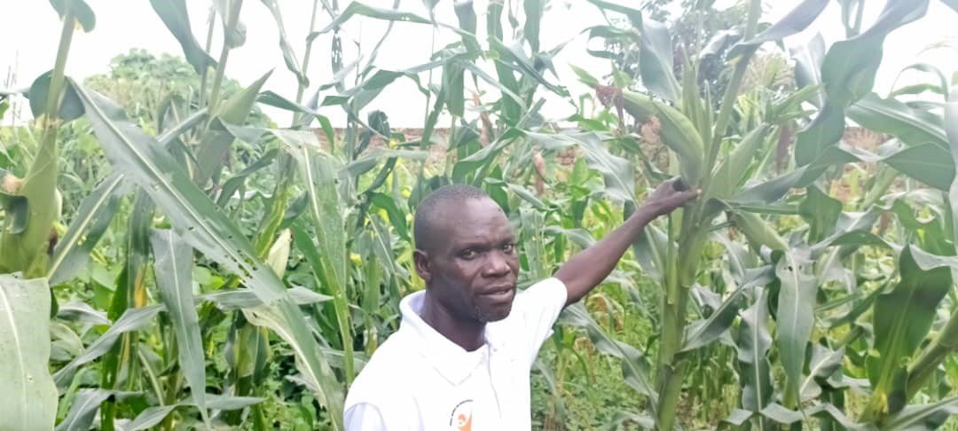 Cooperative groups call for capacity building – One Citizen Daily Newspaper