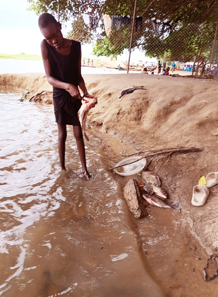 70% of South Sudan’s Children Trapped in Hazardous Labor