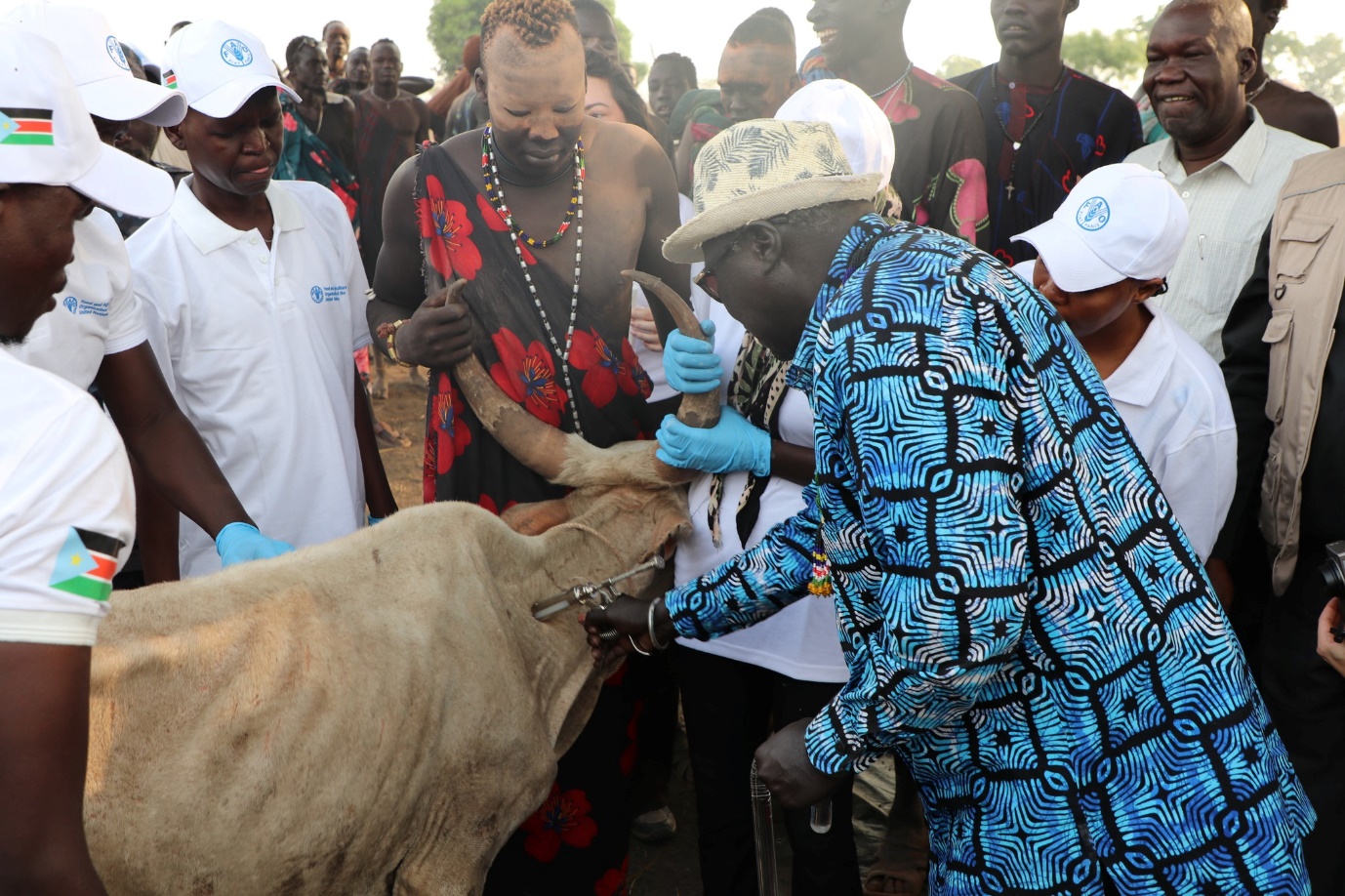   South Sudan Advances Cross-Sector Disease Control Under One Health Policy
