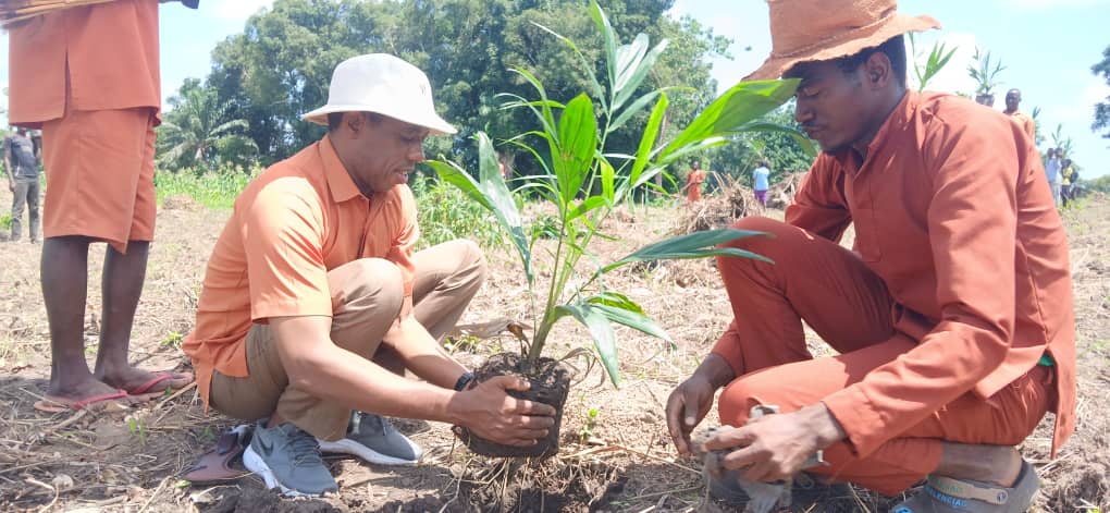 Azande Kingdom launches Palm oil tree planting initiative
