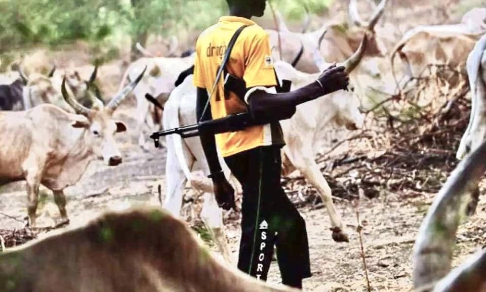 Over 10 people killed in Rumbek North-Tonj East clashes