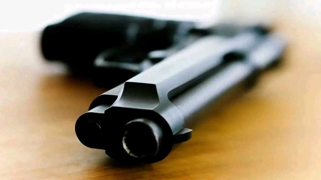 A visitor shoots 4 family members in Warrap State