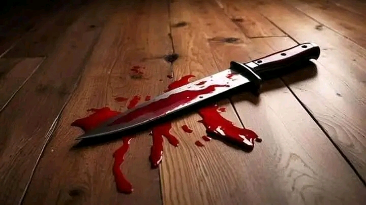 Teen allegedly kills elder brother over 1,000 SSP dispute in Yei