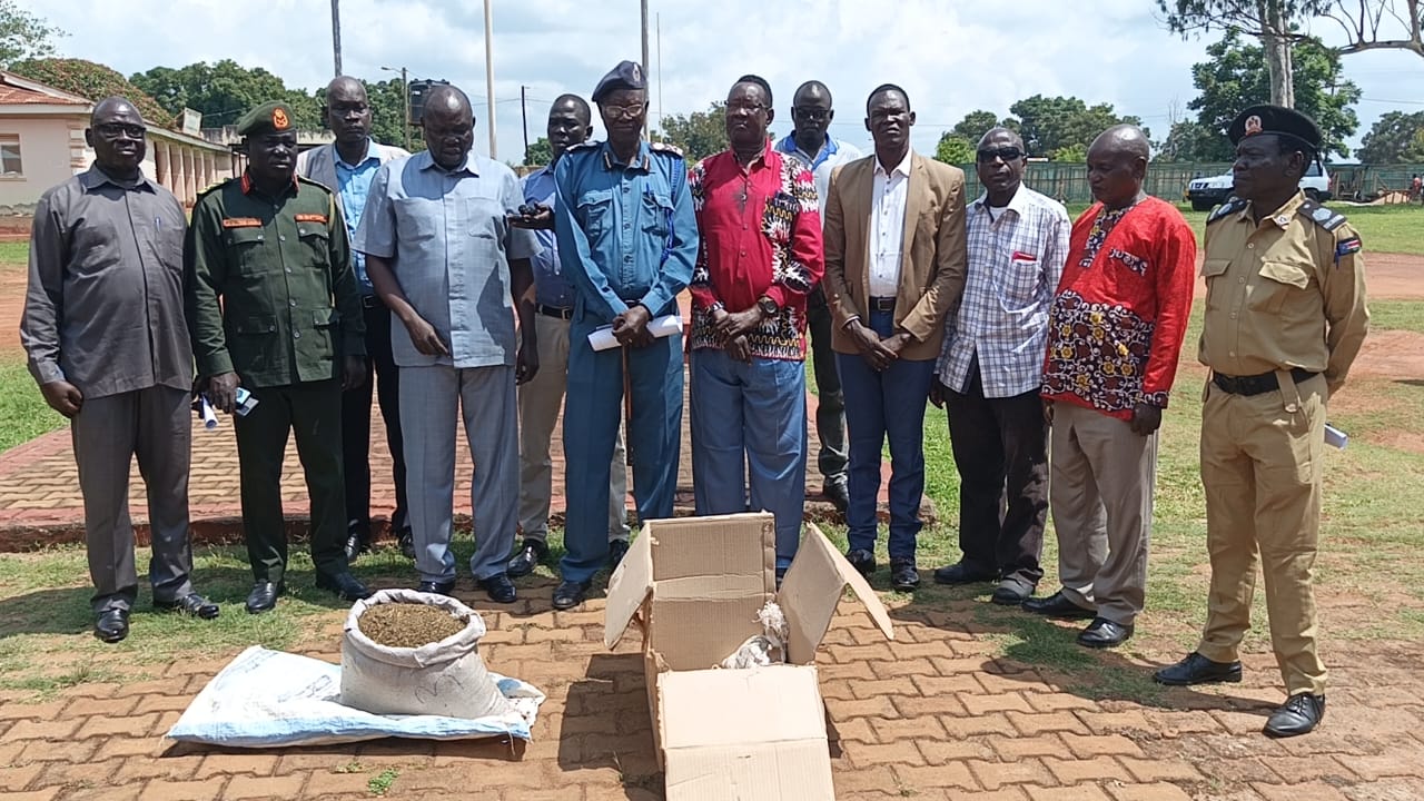Drug trafficking on the rise in Yei as authorities destroy seized marijuana