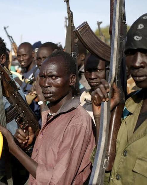 Interior Minister Ayen Aleu accuses politicians of arming communities